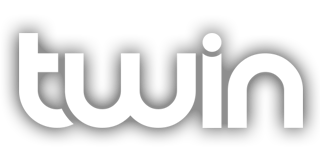 twin logo