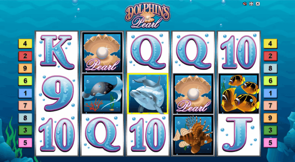 Dolphins Pearl Classic 1