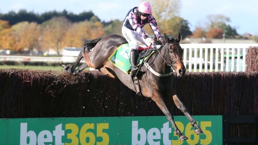 Bet365 erhöht Promo-Ausgaben massiv: Strategien, Marktziele und mögliche Folgen